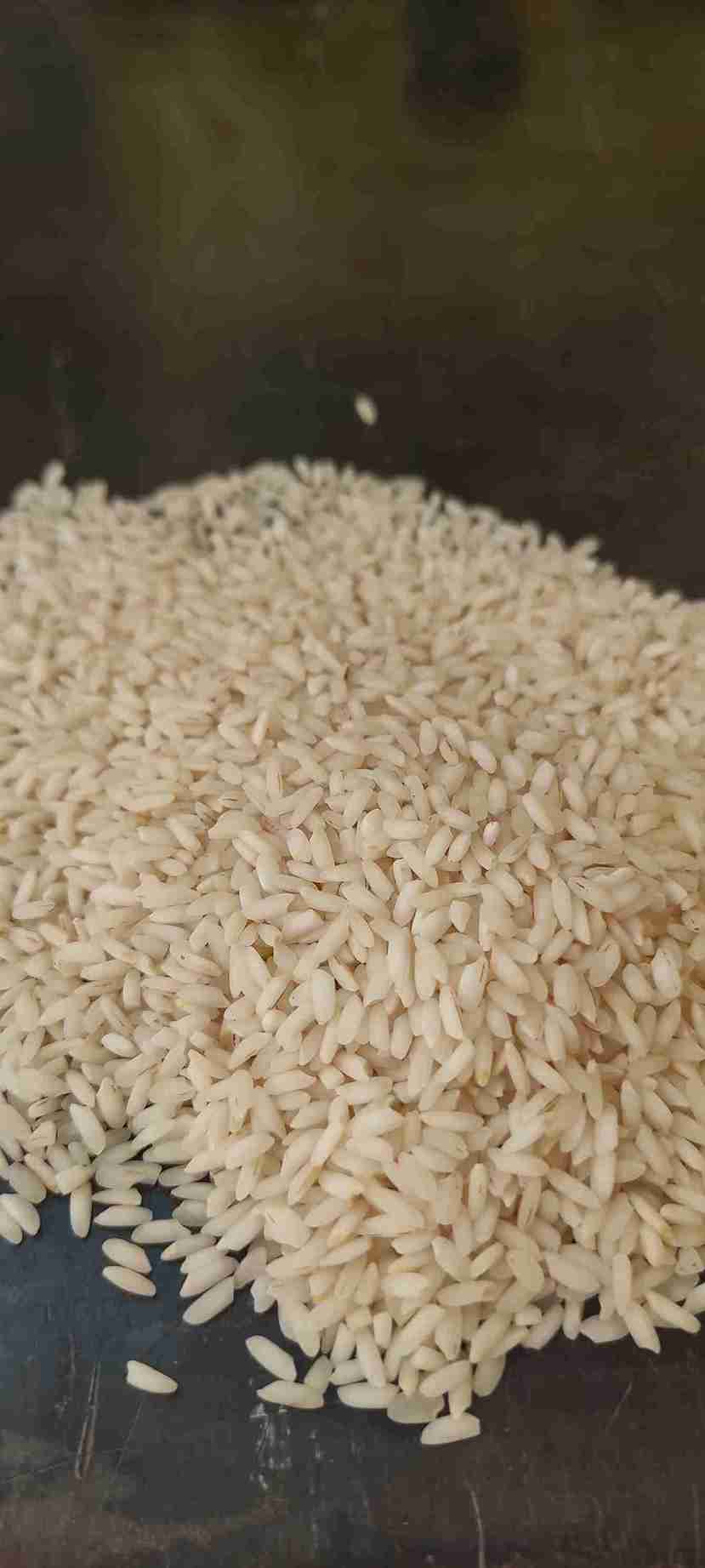 قیمت برنج عنبر بو محلی + خرید باور نکردنی